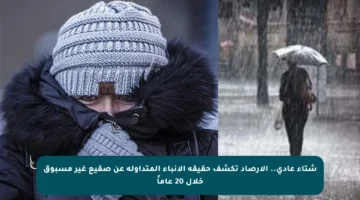 شتاء عادي.. الأرصاد تكشف حقيقة الأنباء المتداولة عن صقيع غير مسبوق خلال 20 عاماً